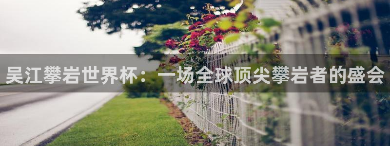 2026世界杯欧洲预选赛赛程表:吴江攀岩世界杯:一场全球顶尖攀岩者的盛会