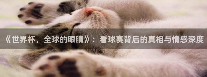 世界杯预选赛欧洲区赛程:《世界杯,全球的眼睛》:看球赛背后的真相与情感深度