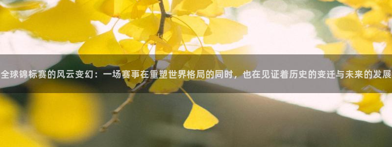 世界杯欧洲区赛程:全球锦标赛的风云变幻:一场赛事在重塑世界格局的同时,也在见证着历史的变迁与未来的发展