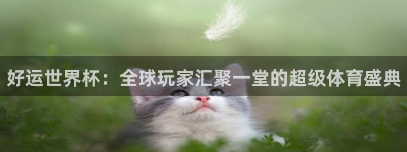 中国 世界杯:好运世界杯:全球玩家汇聚一堂的超级体育盛典