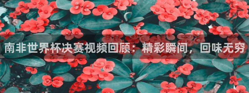 2026世界杯赛程:南非世界杯决赛视频回顾:精彩瞬间,回味无穷