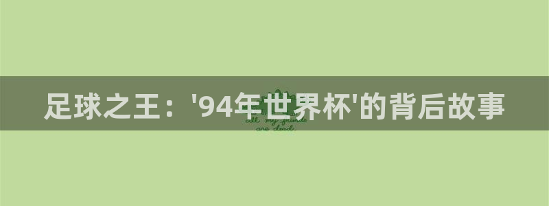 2006世界杯:足球之王:\'94年世界杯\'的背后故事