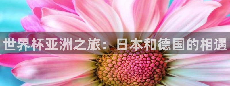 世界杯球队:世界杯亚洲之旅:日本和德国的相遇