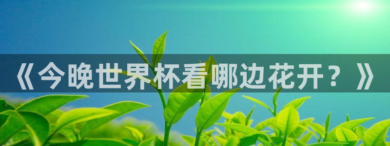 2026年世界杯时间表:《今晚世界杯看哪边花开?》