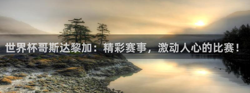 世界杯直播网站:世界杯哥斯达黎加:精彩赛事,激动人心的比赛!