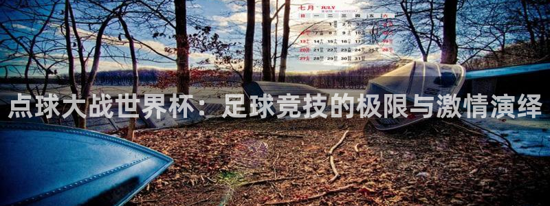 2026 世界杯:点球大战世界杯:足球竞技的极限与激情演绎