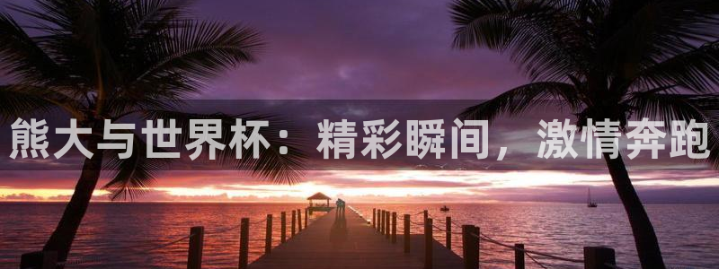 世预赛欧洲赛程表:熊大与世界杯:精彩瞬间,激情奔跑