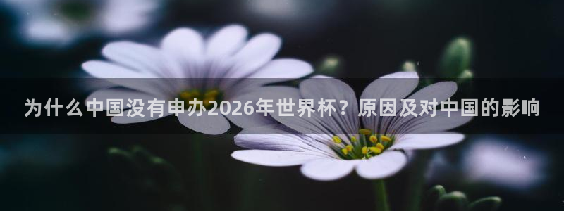 世界杯2026比赛时间表:为什么中国没有申办2026年世界杯?原因及对中国的影响